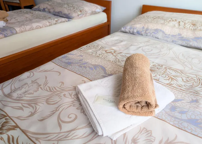 Solnicka 게스트하우스 체스케부데요비체